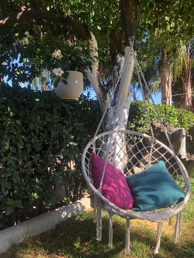 B&B Green Oasis Pompei Dış mekan fotoğraf